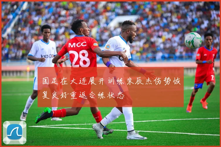 国足在大连展开训练朱辰杰伤势恢复良好重返合练状态